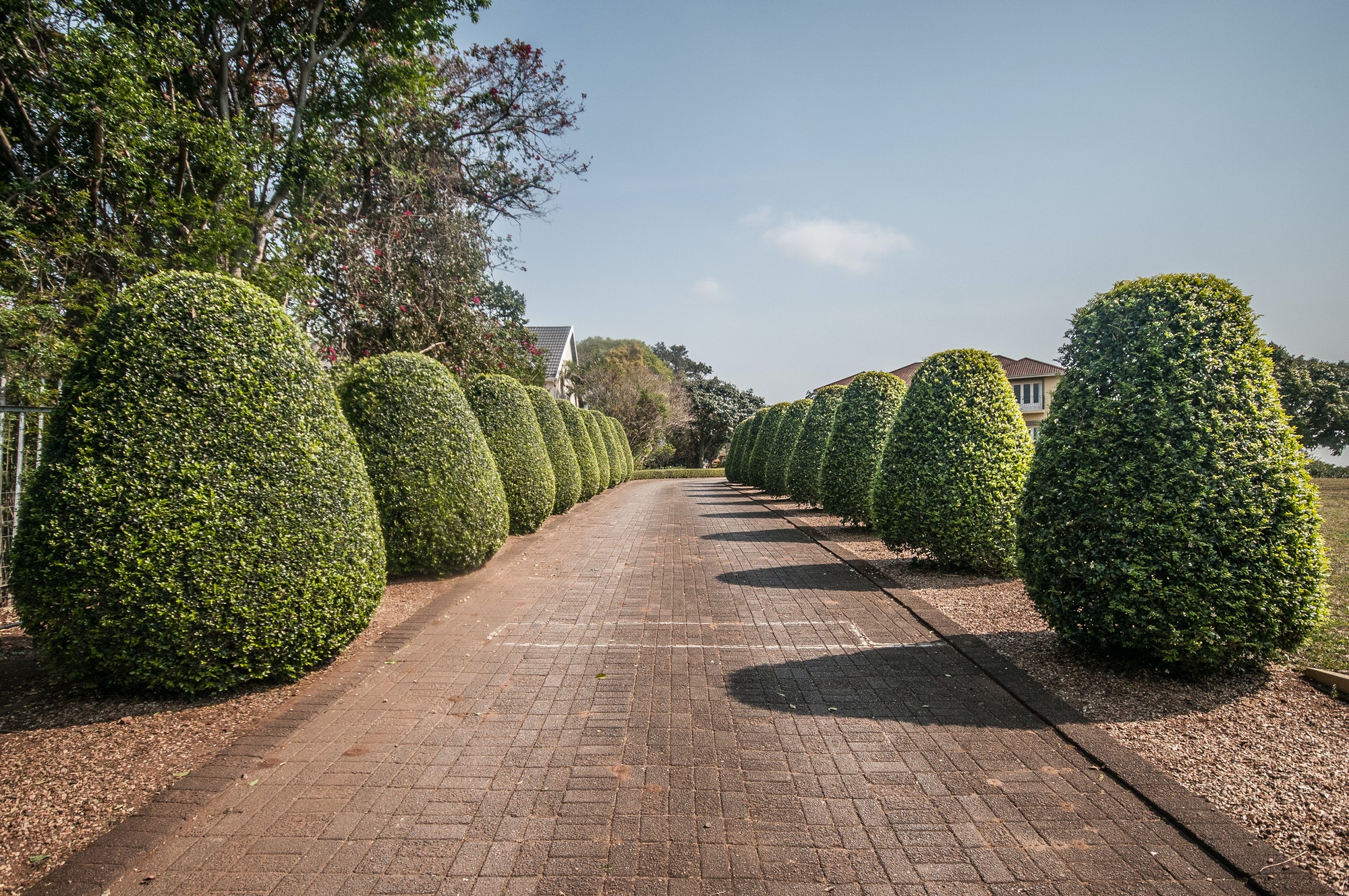 Belangrijke factoren om te overwegen bij het kiezen van tuinplanten