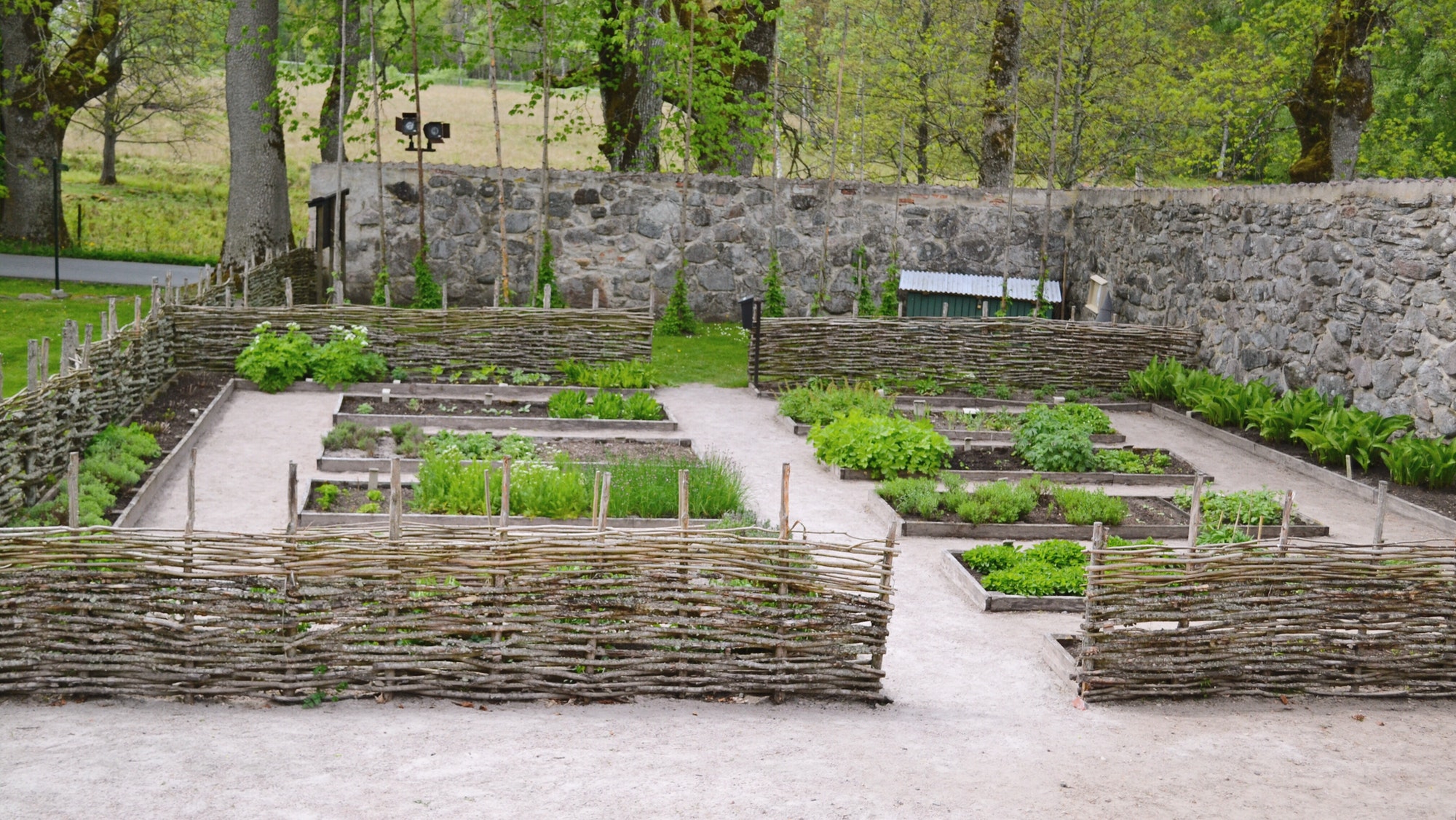 Hoe zorg je voor tuinplanten