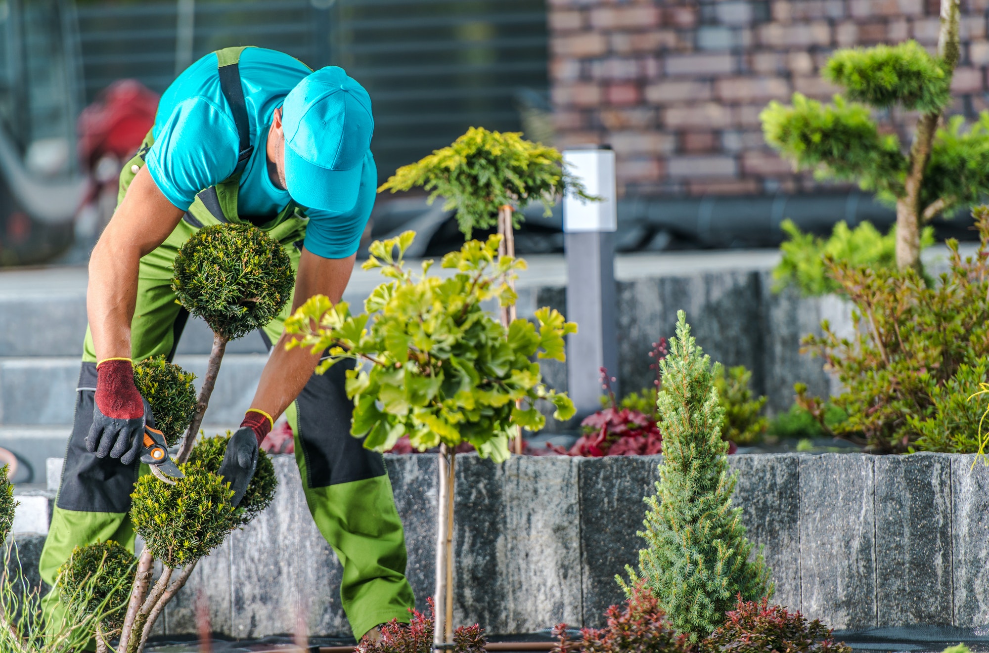 Overwegingen voor een houten tuinoverkapping