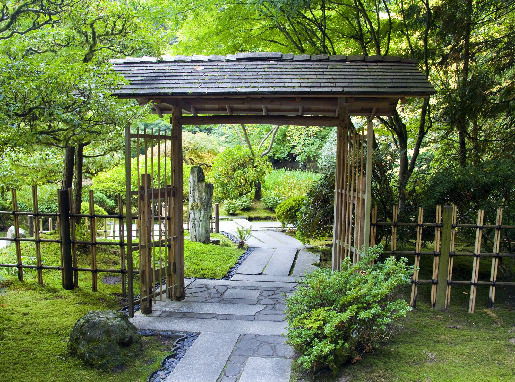 Japanese Garden