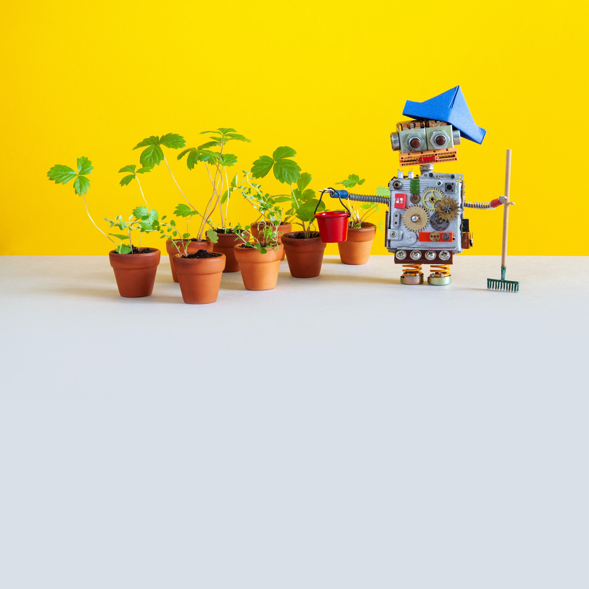 Robot gardener with gardening tools.