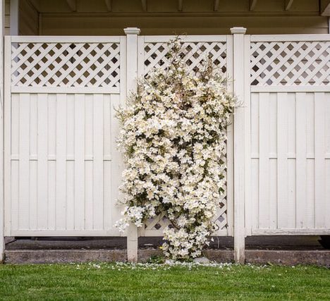 Overwegingen voor een houten tuinoverkapping