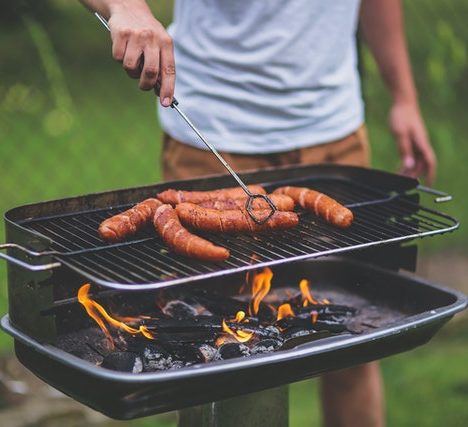 Hoe uw puppy het Orijen hondenvoer te geven: de essentiële gids