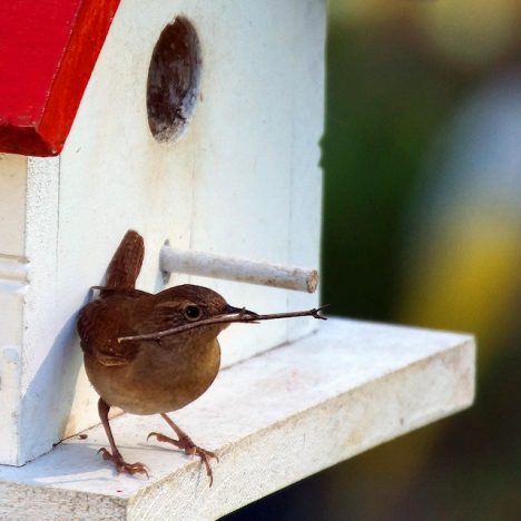 Transformeer Je Buitenruimte: Vind Betaalbare Tuinsets met Korting bij de Tuinmeubels Outlet