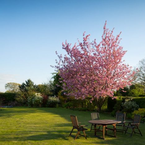 Vind het Perfecte Gereedschap voor Jouw Tuin bij tuingereedschapshop.nl