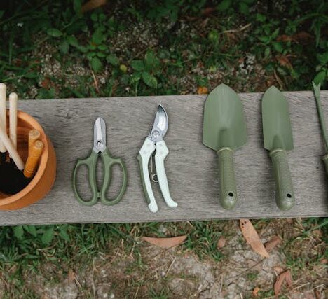 Tuincentra en Aveve: Groen Genieten met Passie en Vakmanschap