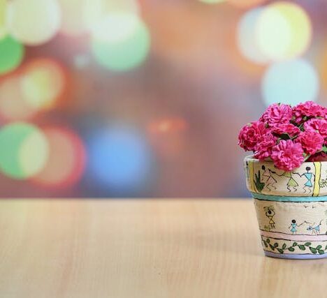 Tuincentrum Van Cranenbroek: Toegankelijk Groen en Betaalbare Tuininspiratie