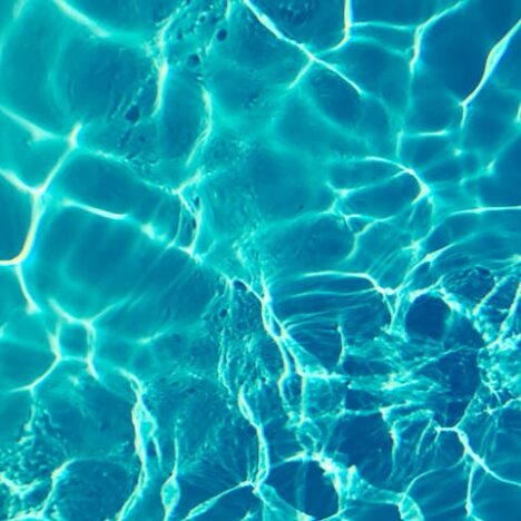 NatureDiet hondenvoer en hypoallergeen hondenvoer: gezonde voeding voor gevoelige honden