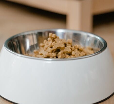 Renske hondenvoer en Hill’s Science Plan: bewust kiezen voor de voeding van je hond